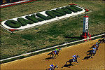 Oaklawn Park Thoroughbred Racetrack
