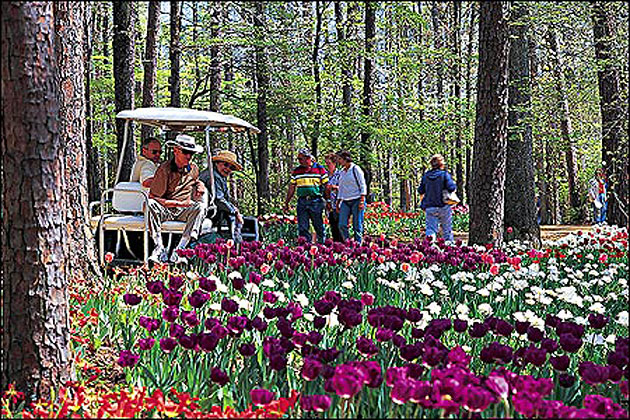 Garvan Woodland Gardens Hot Springs