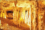 Soda Straw Room at Blanchard Springs Caverns