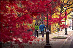 Enjoying fall color in Little Rock's Allsop Park